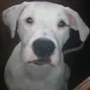 Alice Pendleton - @alice.pendleton - TikTok