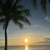 alicia - @alicia.robb1 - TikTok