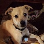 Alicia Devery Shields - @deveryshields - Instagram