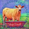 Alicia Canington Babb - @aliciassmalltowndesigns - TikTok