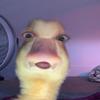 ali spadafora - @itsalispadafora - TikTok