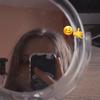 🥴🤙alicja sprouse🤙🥴 - @.alicja.__sprouse._ - TikTok