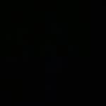 Alicia.stromberg12 - @alicia.stromberg12 - Instagram