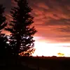 aliciataborda705 - @ayi8300 - TikTok