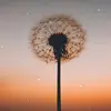 Alicia Troche - @alicia.troche5 - TikTok