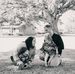 Alicia Troxclair - Facebook