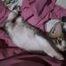 Alicia Valentin - Facebook