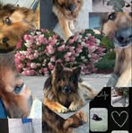 Alicja Czech - Facebook