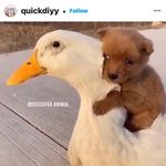 Alicja Niedojadlo - @alibama44 - Instagram
