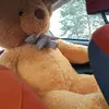 Alicja Niemiec299 - @alicjaniemiec299 - TikTok