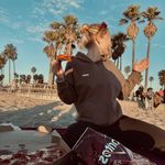 𝒜𝓁𝒾𝒸𝒿𝒶 𝒫𝒾𝑒𝒸𝒽𝒶 - @im.a.la - Instagram