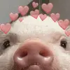 alicjapiechaczek - @alicjapiechaczek - TikTok