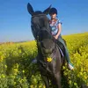 🐎Konie Życiem🐴❤ - @piechaalicja - TikTok