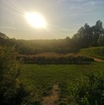 Alicja Sawicka - Facebook