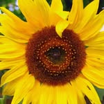 Alicja Tkaczyk - @arka3833 - Instagram