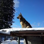 Alicja Trela - @alizze48 - Instagram