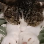 Alicja Wilk - @blue_wyvern_ - Instagram