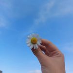Alicja Wilk - @alicja7570 - Instagram