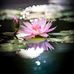 Alicja Wilk - Facebook