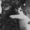 ala - @alicjawisniewska15 - TikTok
