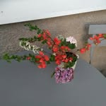 Alicja Wrobel - @alicja4801 - Instagram
