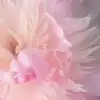 alicjawrobel1 - @alicjawrobel1 - TikTok