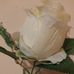 Alicja Zarzycka - Facebook