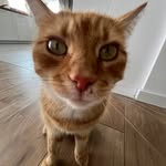 Alicja Zięba - @ig_alaaa39 - Instagram