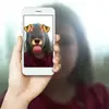Alicja zięba - @alicjazięba1 - TikTok