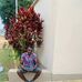 Alick James - Facebook