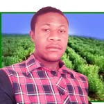 Alick Zulu - @z_alickangel - Instagram