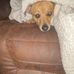 Alicea Reese Pickle - Facebook