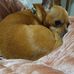 Alicyn Pickle - Facebook