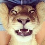 AlidaAlcala - @alidaalcala6 - Instagram