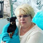 Alida Becker - @alida_becker - Instagram