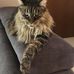 Alida Bolognese - Facebook