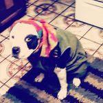 Alida Brown - @super_nana56 - Instagram