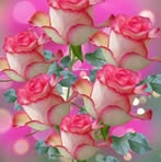 Alida Bustos - Facebook