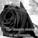 Alida Calderon - @alida.calderon.79 - Instagram