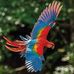 Alida Camargo - Facebook