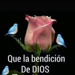Alida Maria Castellanos Sánchez - @alidamariacastellanossanchez - Instagram