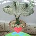 Alida Castillo - Facebook