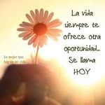 Alida - @alidacastro16 - Instagram