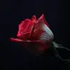 Alida Castro - @alida.castro30 - TikTok