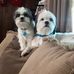 Alida Chance - Facebook