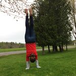 Alida Cook - @alida.gymnastics - Instagram