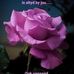 Alida Cornelius - Facebook