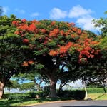 Alida Correa - @alida.73 - Instagram