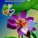 Alida Correa - Facebook