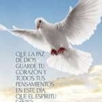 alida Rosa Dávila - @davilaalidarosa - Instagram